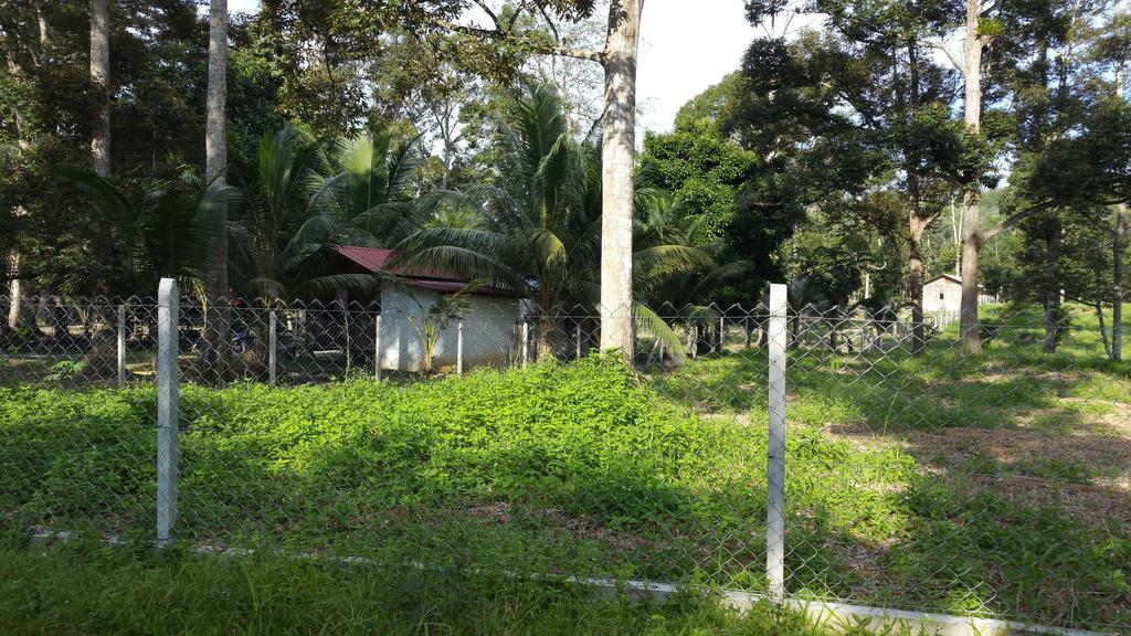 Chalet Kampong Semawar 쿠알라캉사르 외부 사진