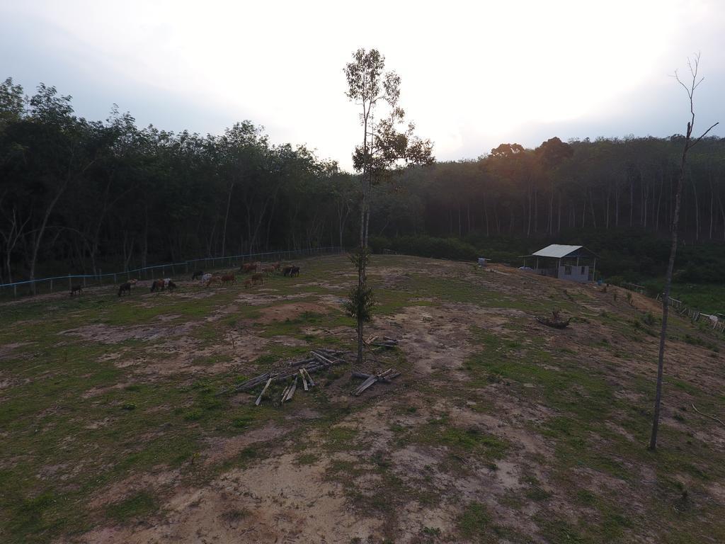 Chalet Kampong Semawar 쿠알라캉사르 외부 사진